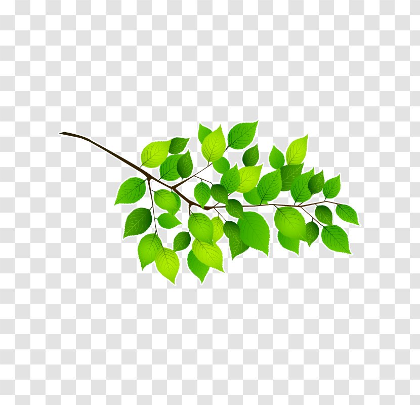 Twig Branch Leaf Adhesive Sticker - Jungle - Feuille De Route Transparent PNG