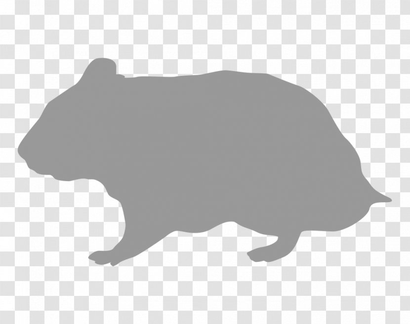 Rodent Hamster Silhouette Gerbil - Wildlife Transparent PNG