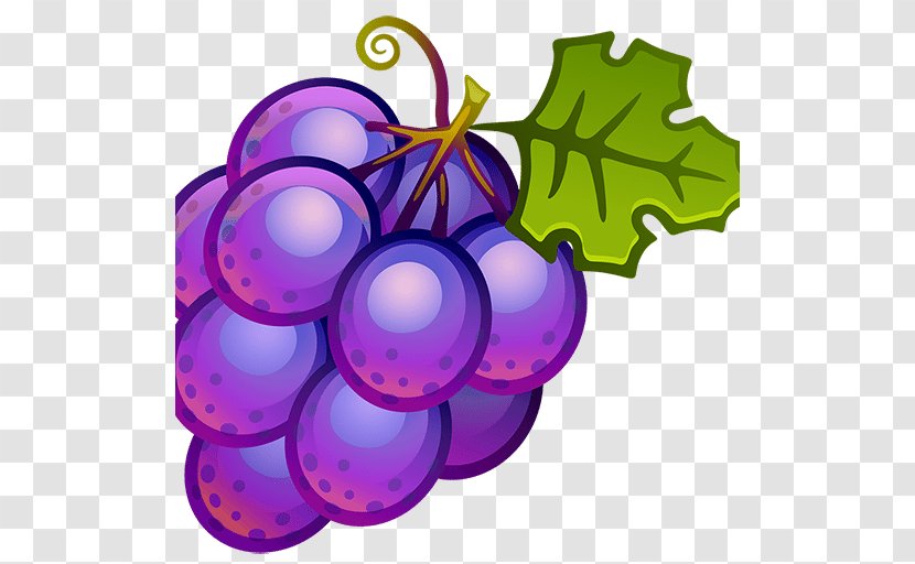 Common Grape Vine Wine Fruit Clip Art - Food Transparent PNG