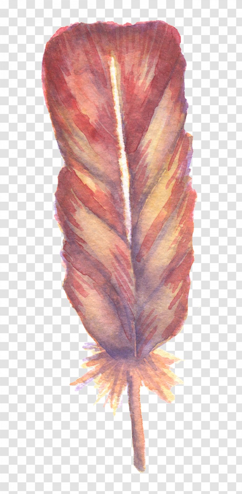 Watercolor: Flowers Watercolor Painting Feather - Super Beautiful Fresh Sen Department Transparent PNG