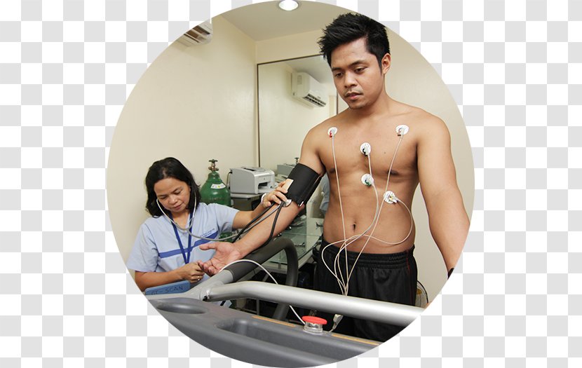 Cardiac Stress Test Therapy Echocardiography Transesophageal Echocardiogram Medicine - Flower - Heart Transparent PNG