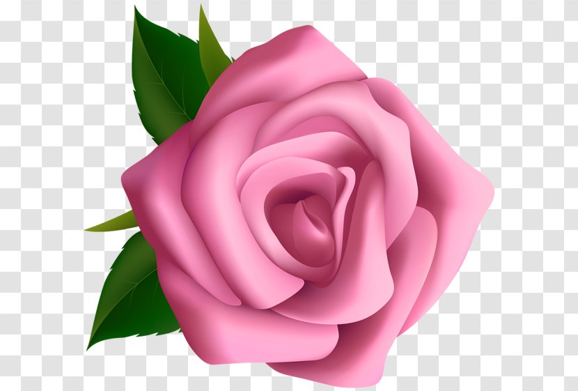 Rose Pink Clip Art - Flowers Transparent PNG