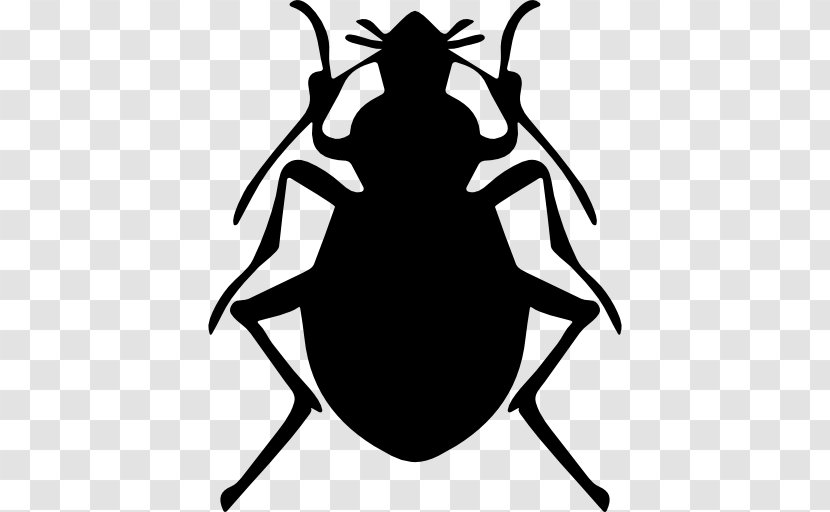 Beetle Pest Control Brown Marmorated Stink Bug - Black And White Transparent PNG