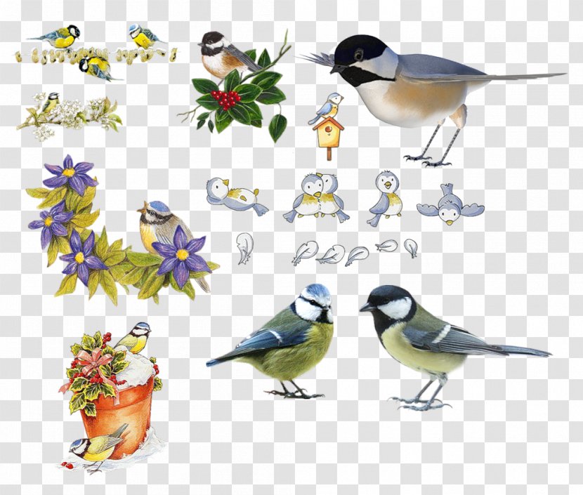 Bird Parus Clip Art - Flower - Collection Creative Transparent PNG