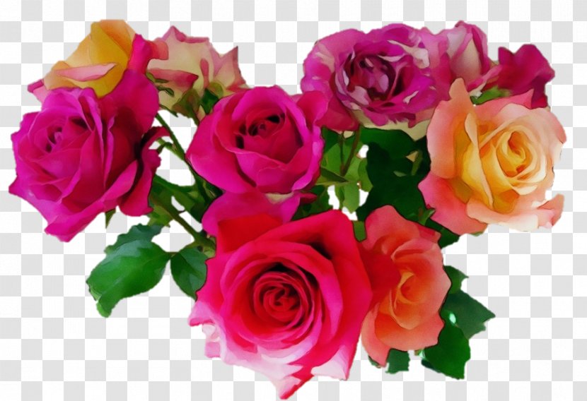 Watercolor Pink Flowers - Flower - Arranging Hybrid Tea Rose Transparent PNG