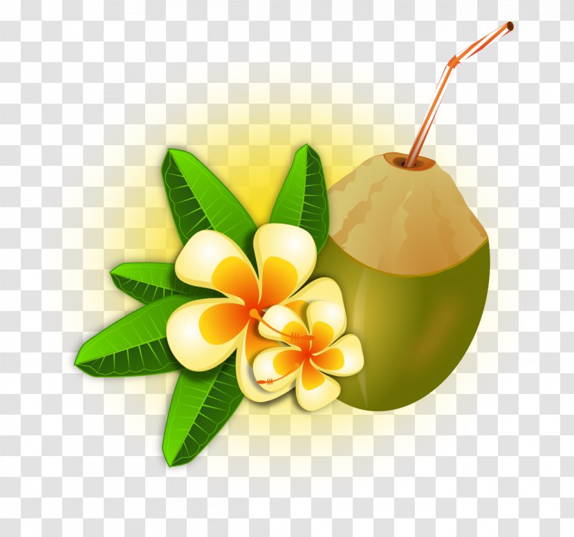 Cuisine Of Hawaii Cocktail Luau Clip Art - Coconut - Gnokii Transparent PNG