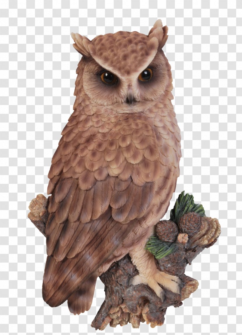 Long-eared Owl Tawny Short-eared Little - Beak - On A Tree Branch Transparent PNG