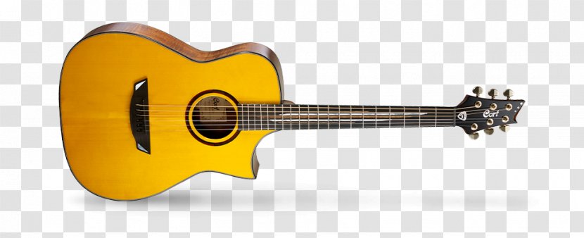 Cort Guitars Acoustic Guitar Guitarist Acoustic-electric - Frame Transparent PNG