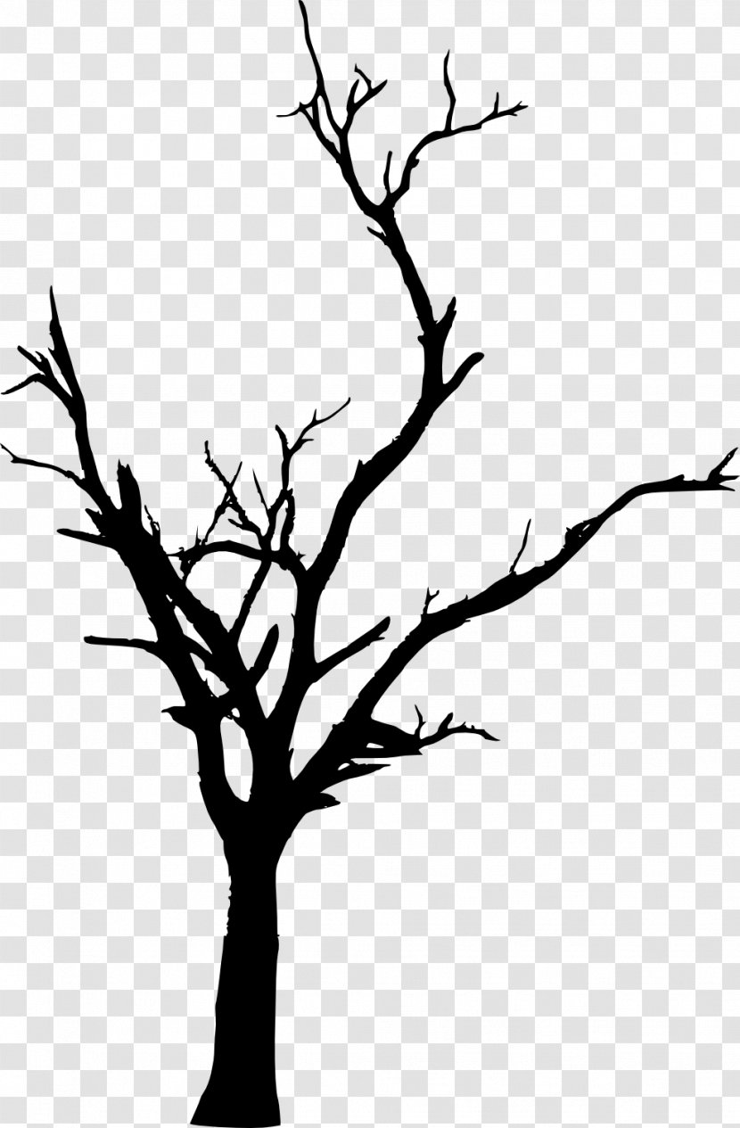 Tree Woody Plant Branch Twig Clip Art - Dead Transparent PNG