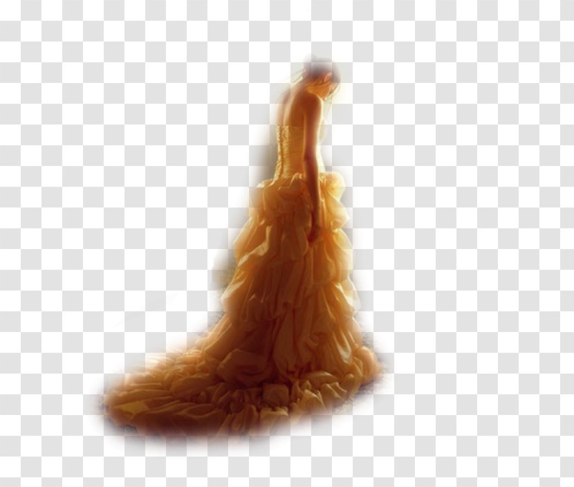 Fur Tail Transparent PNG