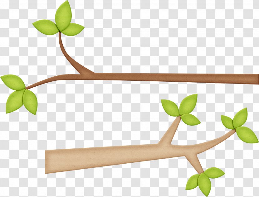 Branch Art Clip - Tree - Leaves Clipart Transparent PNG