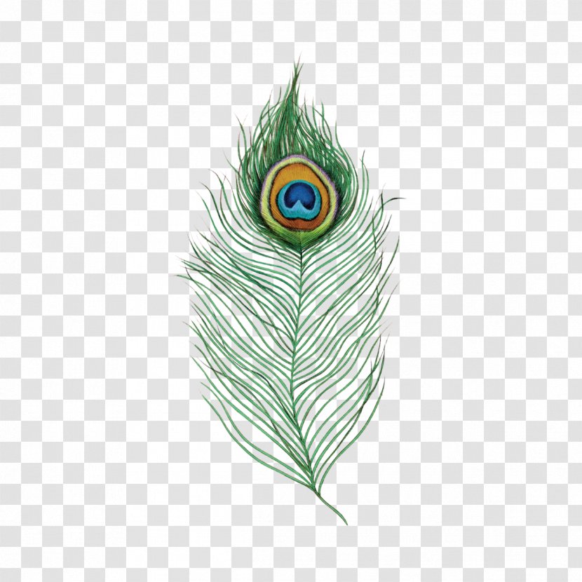 Single Peacock Feathers Peafowl Desi Natural Eye Tails Image - Material - Feather Transparent PNG