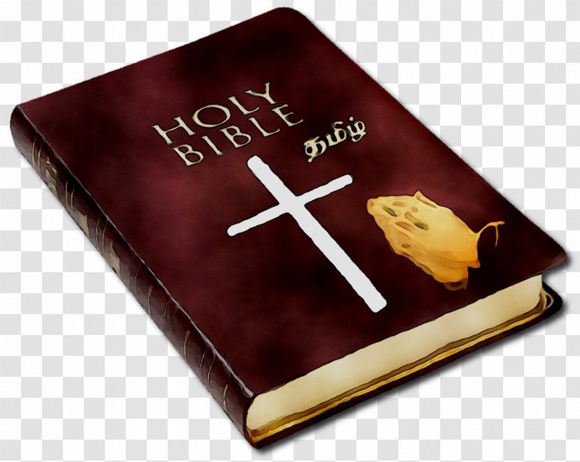 Catholic Bible Novum Testamentum Graece New International Version Religious Text - Jesus Transparent PNG