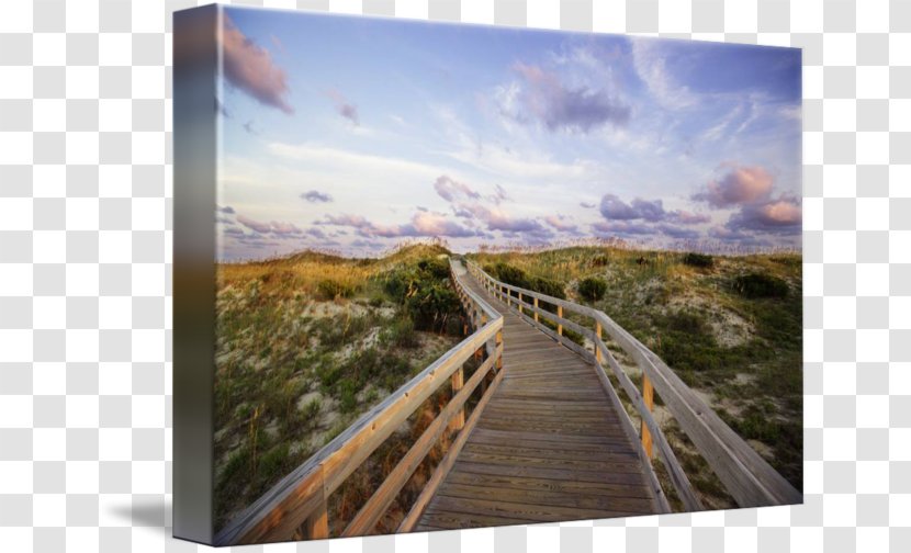 Wood Gallery Wrap Boardwalk Ocracoke Photography - Inlet Transparent PNG