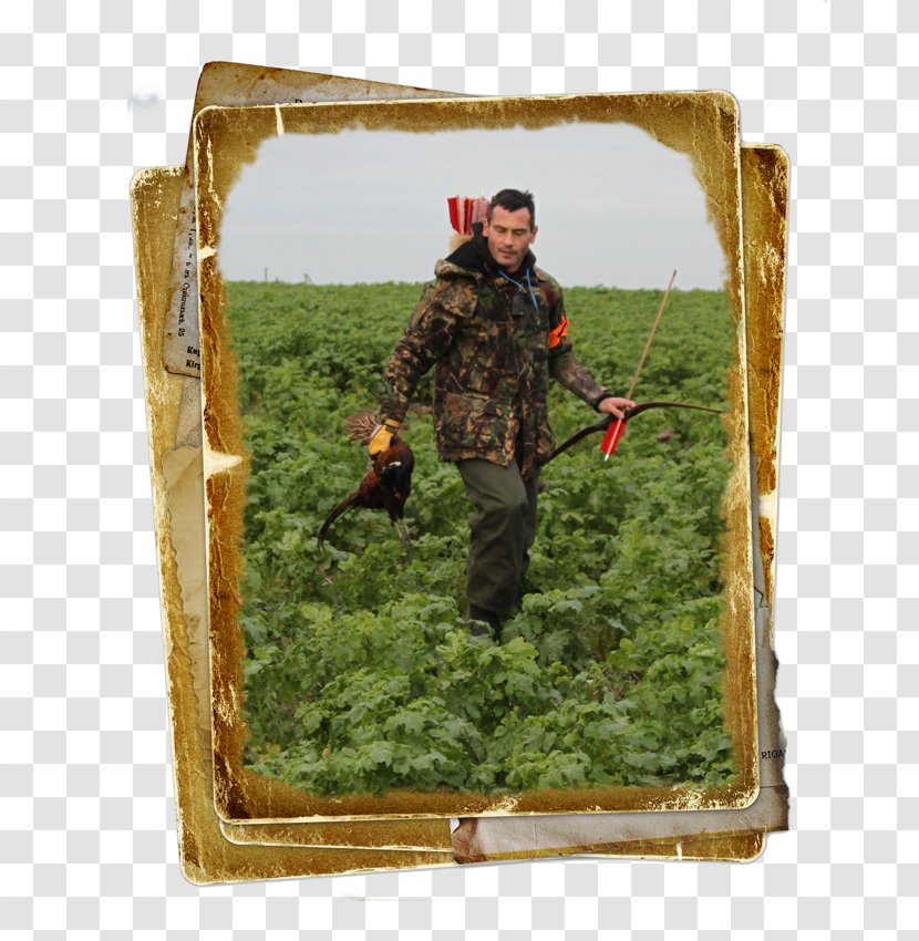 Camouflage Photo Albums - Grass - Arbel Transparent PNG
