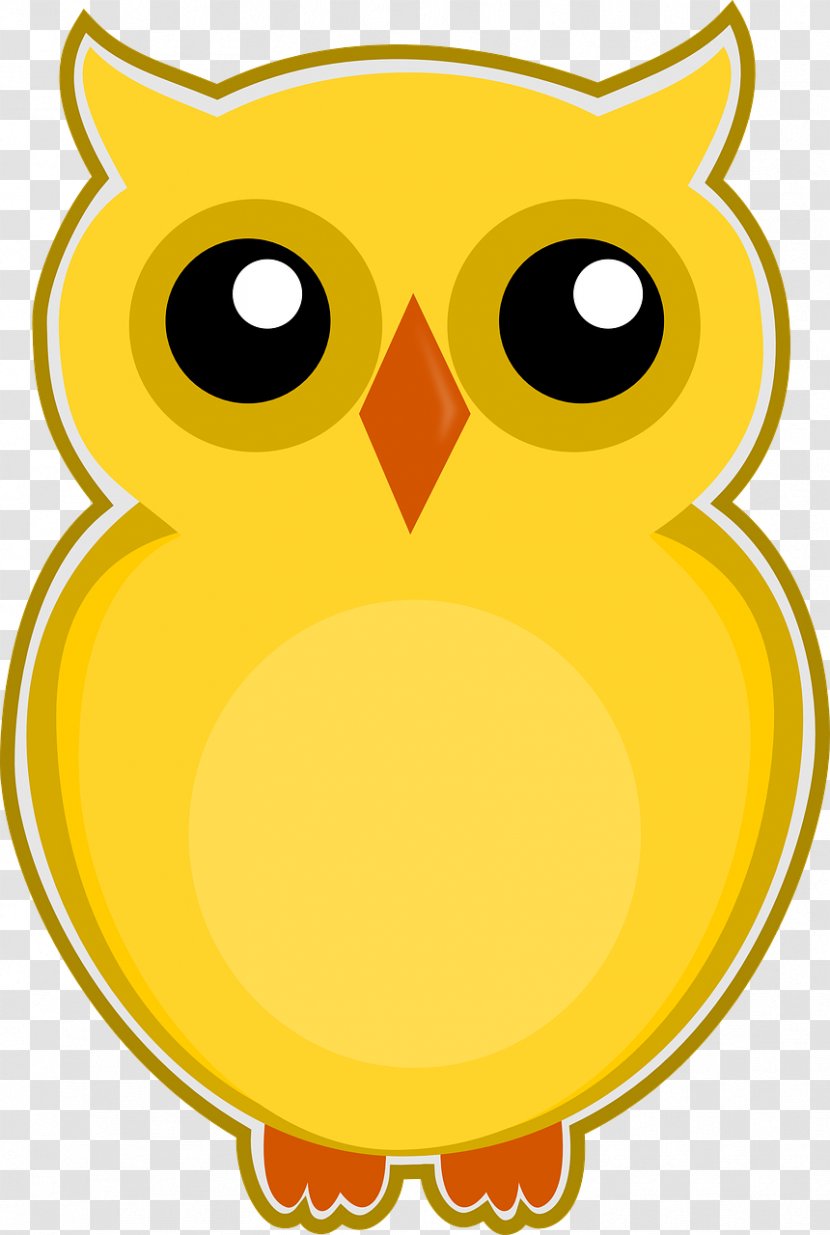 Drawing Color Clip Art - Bird - Owl Transparent PNG