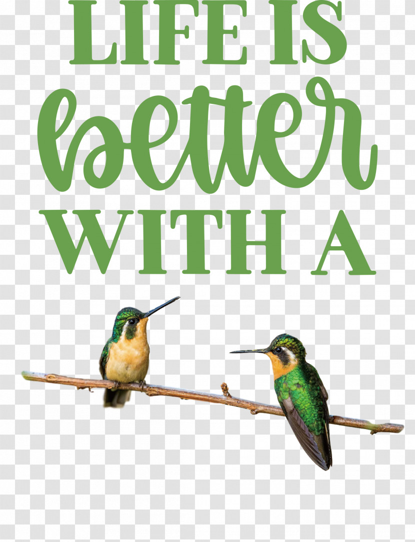 Life Better Transparent PNG