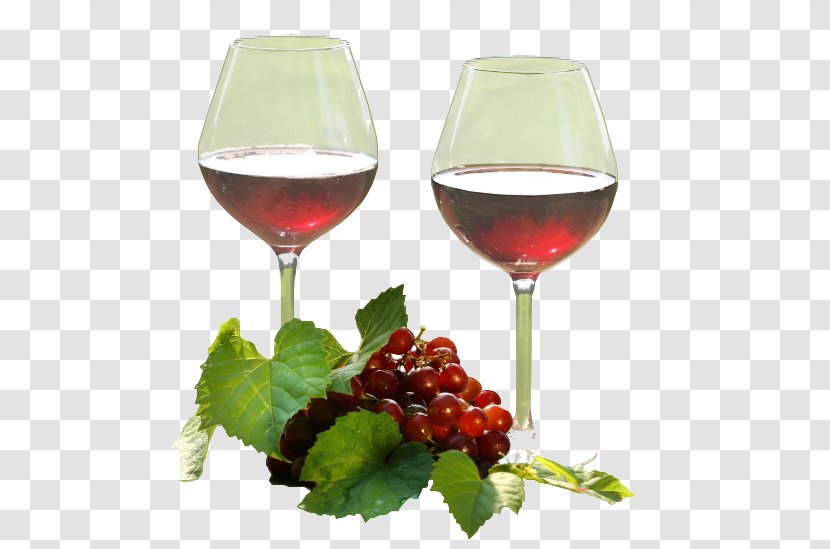Wine Glass Red The Complete Guide For Beginners Cocktail - Stemware Transparent PNG