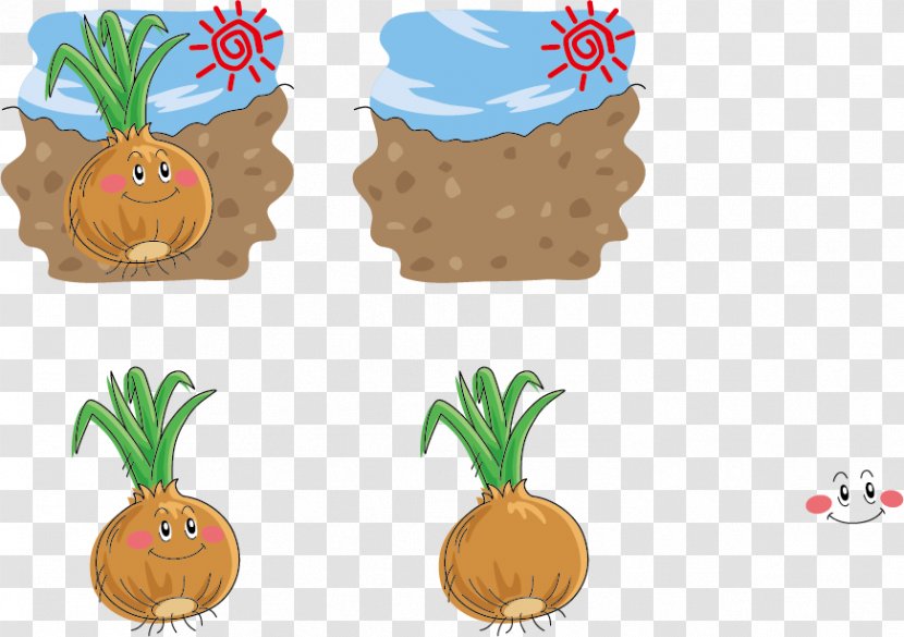 Onion Chowder Vegetable Illustration - Cartoon - Ground Expression Vector Transparent PNG