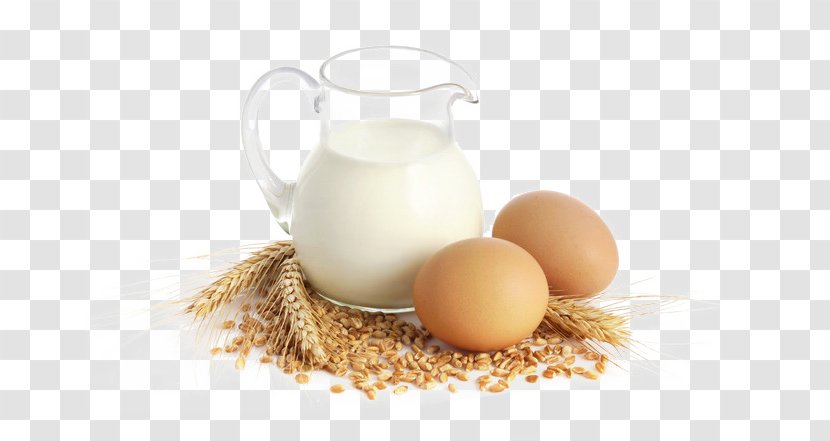 Milk Breakfast Dairy Product Food Egg - Cup Transparent PNG