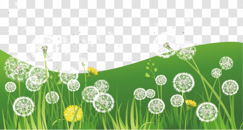 Nature Green Illustration - Flower - Dandelion Grass Transparent PNG