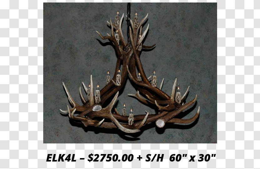 Elk White-tailed Deer Antler Moose Transparent PNG