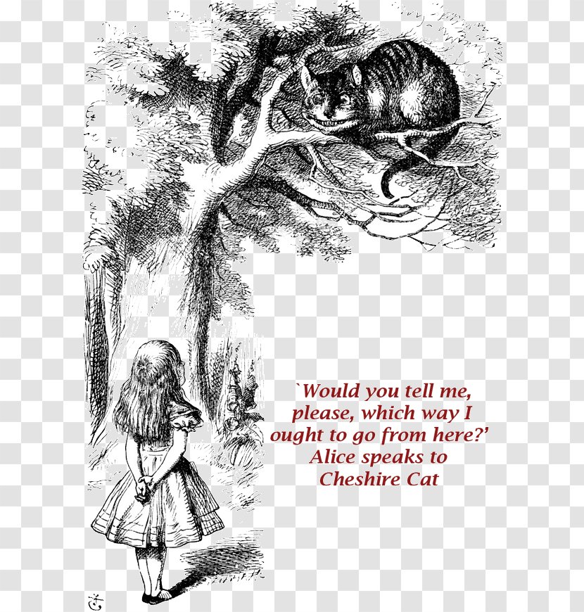 Alice's Adventures In Wonderland And Through The Looking-Glass Cheshire Cat White Rabbit - Cartoon - Chesire Transparent PNG