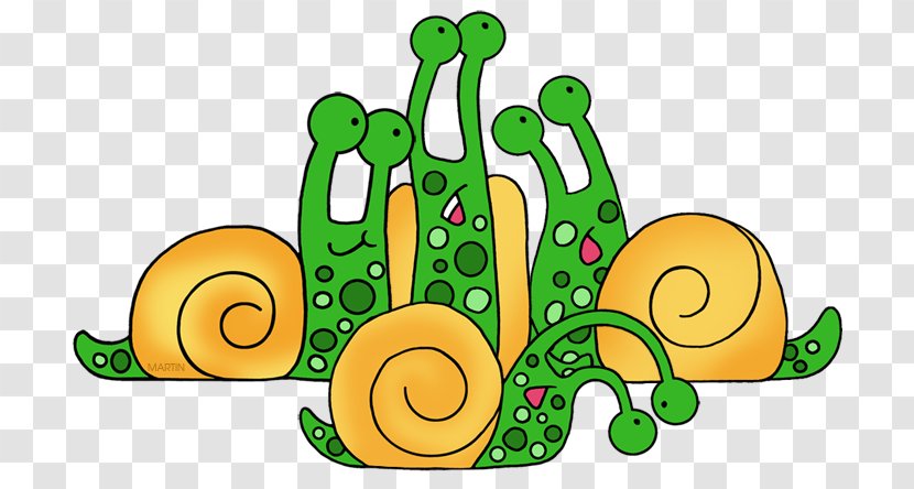 Snail Cartoon - Snails And Slugs - Molluscs Transparent PNG