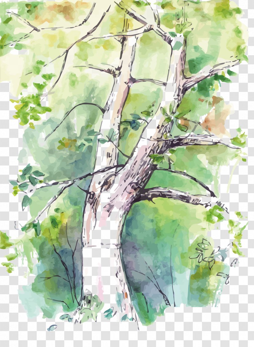 Watercolor Painting Birch Twig Tree - Branch - Vector Trees Transparent PNG