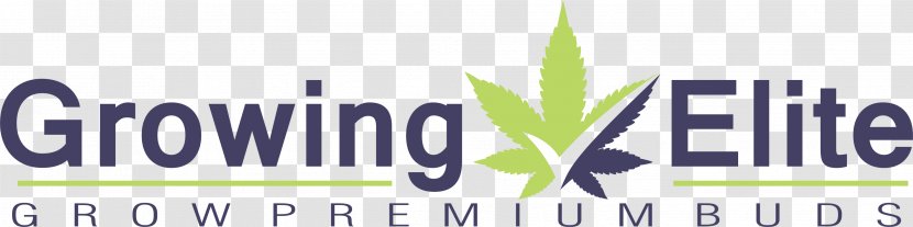 Business Growing Elite Marijuana Finance Organization Transparent PNG
