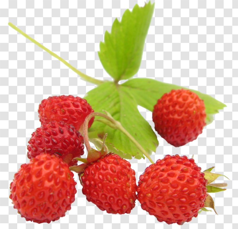 Wild Strawberry Amorodo Fruit Transparent PNG