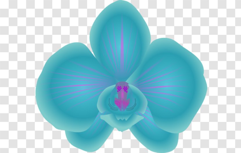 Orchids Free Content Clip Art - Cinnabon Cliparts Transparent PNG
