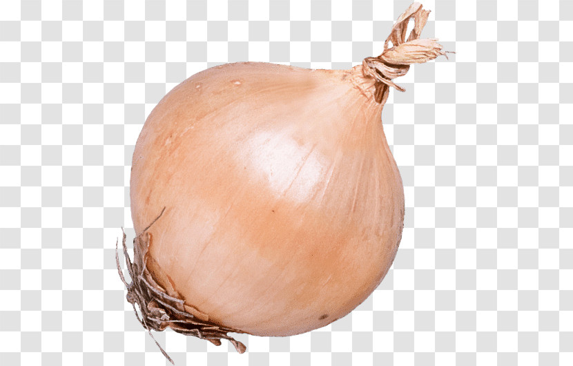 Brown Onion Vegetable Shallot Ingredient Genus Transparent PNG