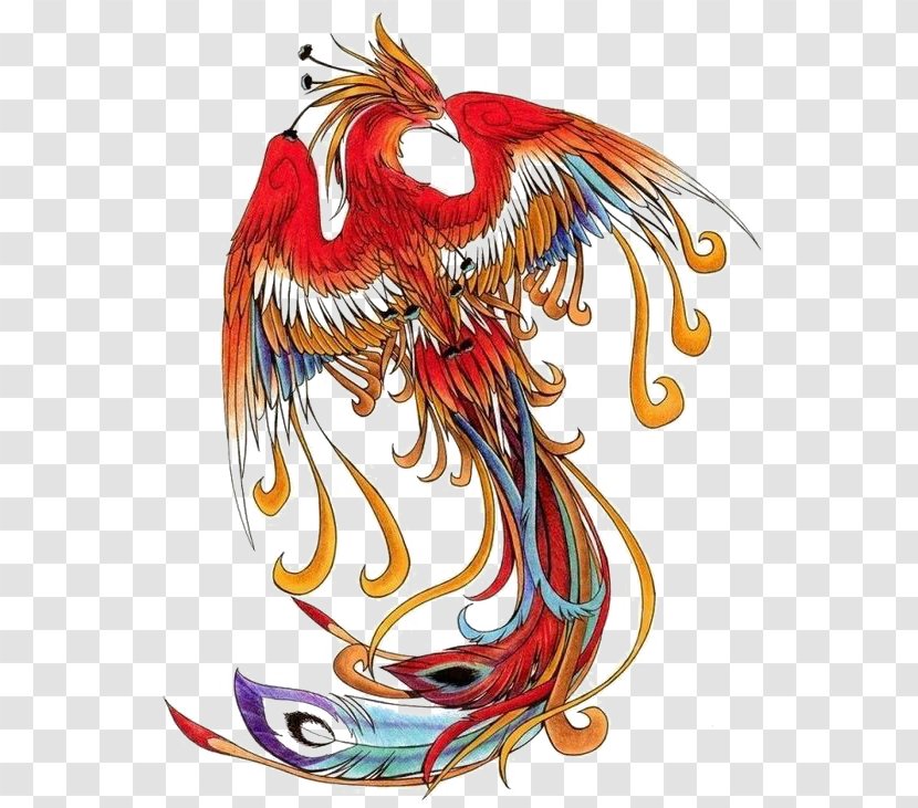 Phoenix Simurgh - Art - Chinese Wind Transparent PNG