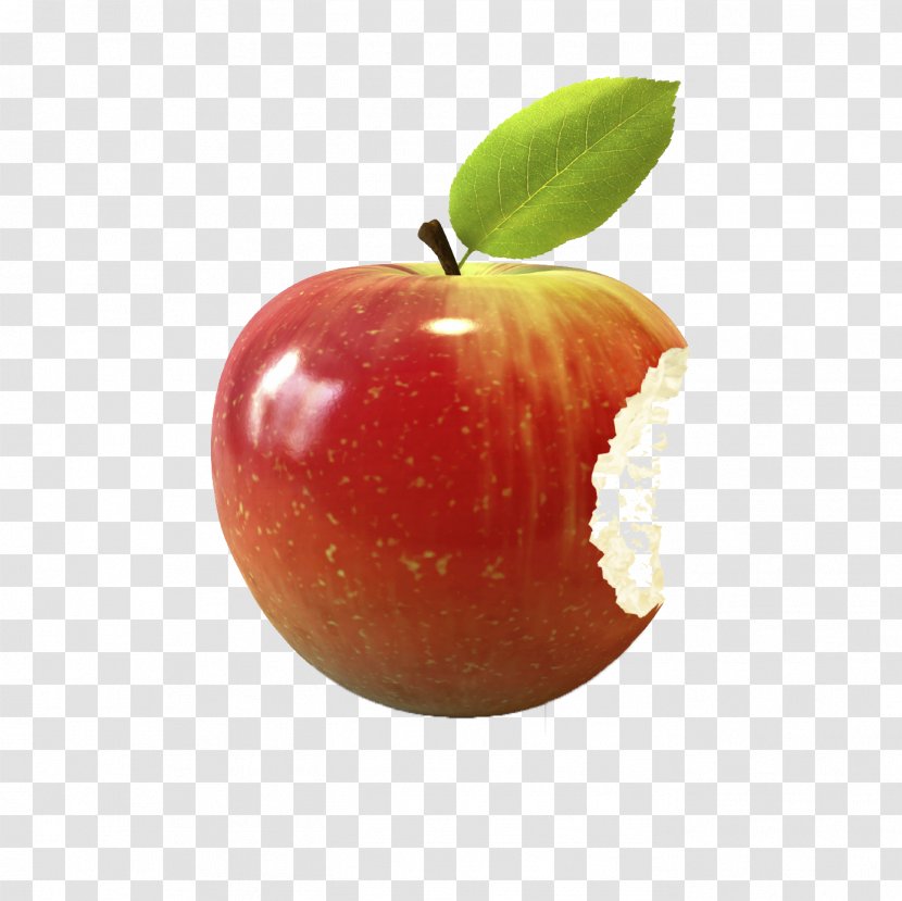 Food Physician Eating Flavor Information - Computer Software - Apple Transparent PNG