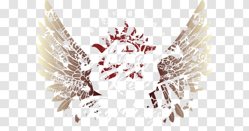 Feather Font - Wing - Keep Fighting Transparent PNG