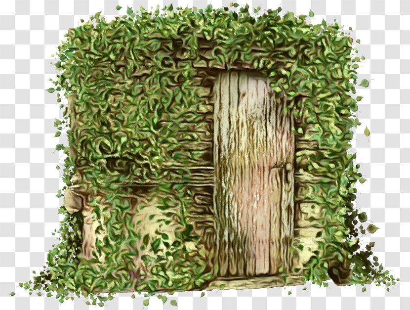 Ivy - Grass - Family Transparent PNG