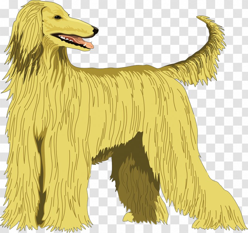 Afghan Hound Saluki Ancient Dog Breeds Taigan - Breed - Sports Transparent PNG