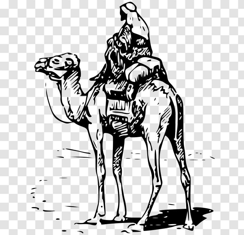 Camel Download Clip Art - Monochrome Photography Transparent PNG