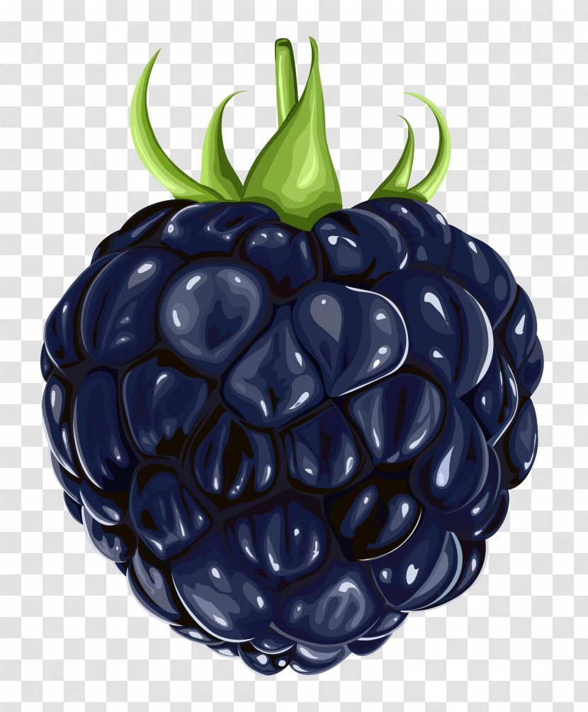 Blackberry Fruit Clip Art - Berry - Clipart Transparent PNG