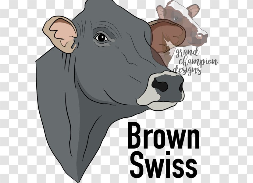 Dairy Cattle Brown Swiss Ayrshire Shorthorn Holstein Friesian - Horn - T-shirt Transparent PNG