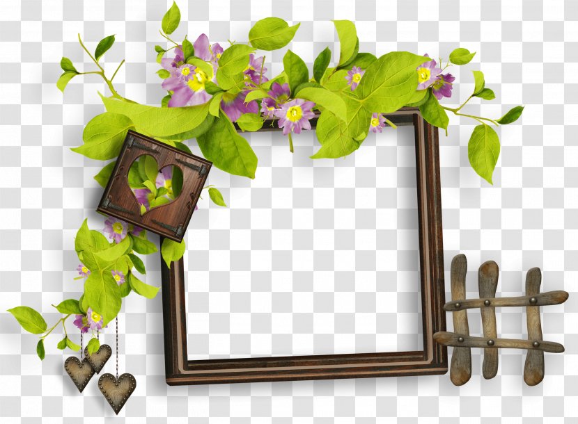 Clip Art Adobe Photoshop Photography Babies First Animals Book - Picture Frames - Photo Hd Transparent PNG
