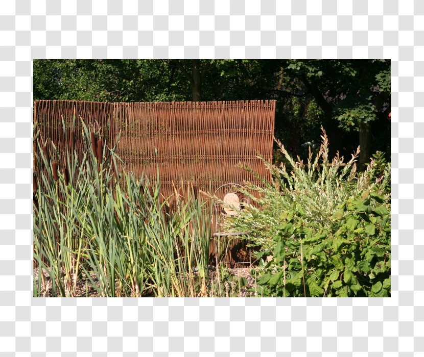 Picket Fence Landscaping Garden /m/083vt - Rattan Divider Transparent PNG