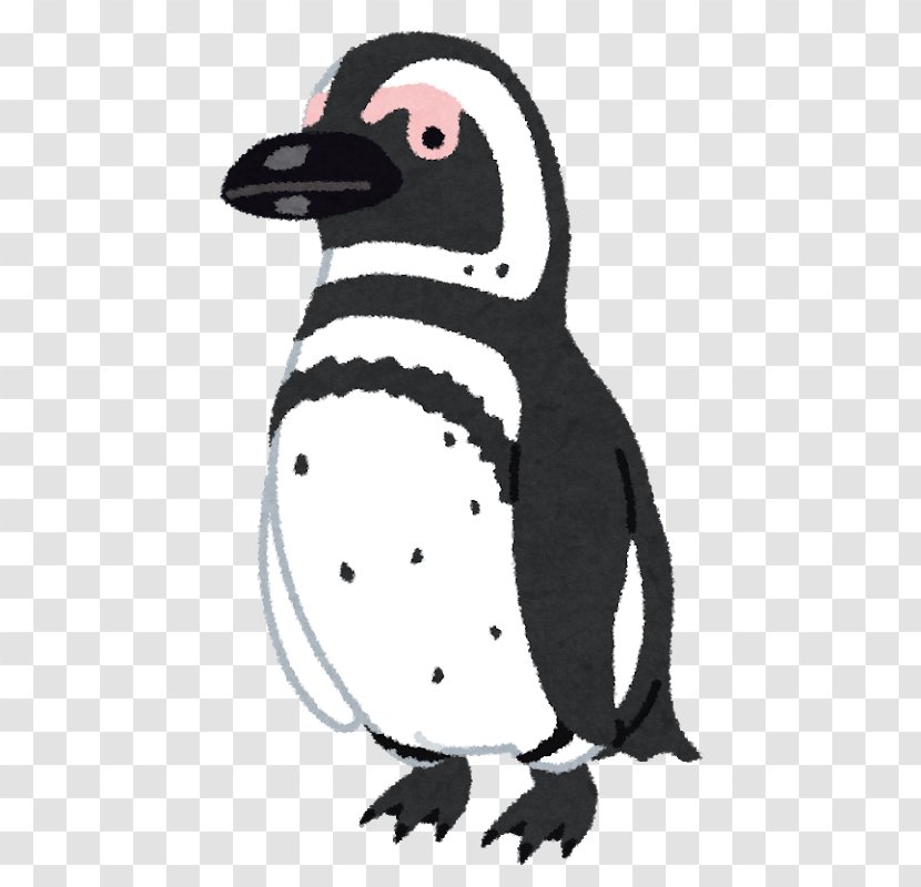 Magellanic Penguin African Humboldt Antarctica - Rockhopper - Magellan Transparent PNG