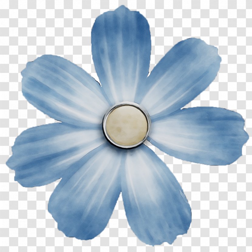 Flowering Plant Plants - Blue - Wildflower Transparent PNG