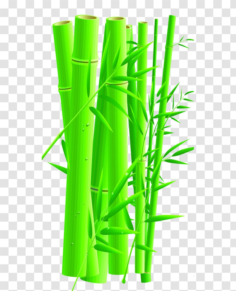 Bamboo Cartoon - Green - Hand-painted Pictures Transparent PNG