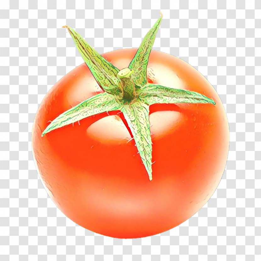 Tomato - Nightshade Family - Vegetable Transparent PNG