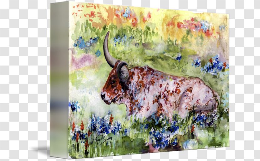 Texas Longhorn Watercolor Painting Gallery Wrap English - Livestock Transparent PNG
