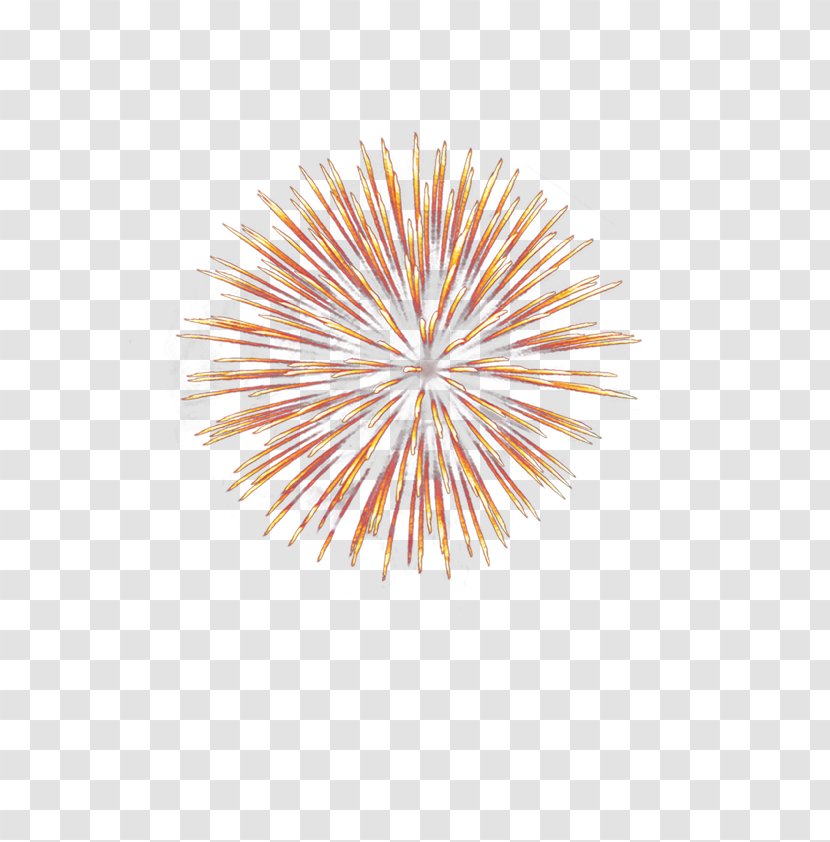 Lunar New Year Fireworks Display In Hong Kong Clip Art - Chinese - Festive Decorative Patterns Transparent PNG