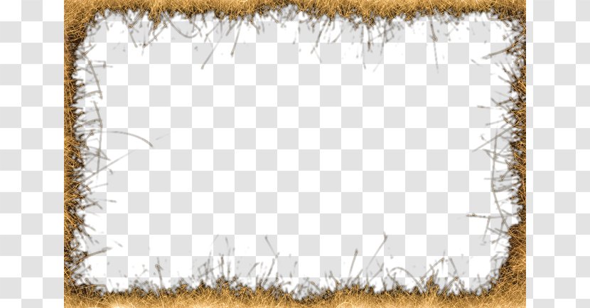 Rectangle Pattern - Texture - Fireworks Background Elements Transparent PNG